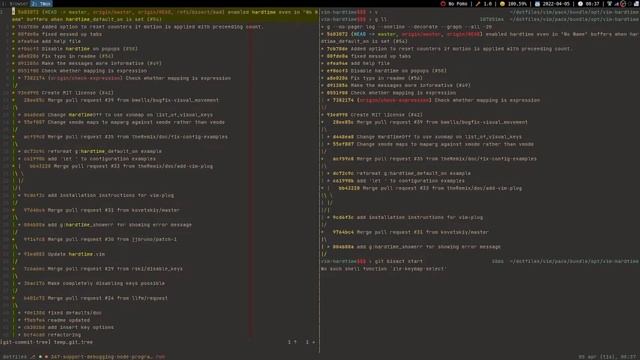 Git in action: using bisect to find a conflict between vim plugins смотреть онлайн