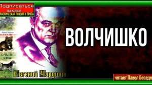 Волчишко —Евгений Чарушин— читает Павел Беседин