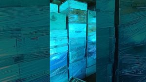 По просьбе подписчика: краткий обзор на медогонку "Медуница"