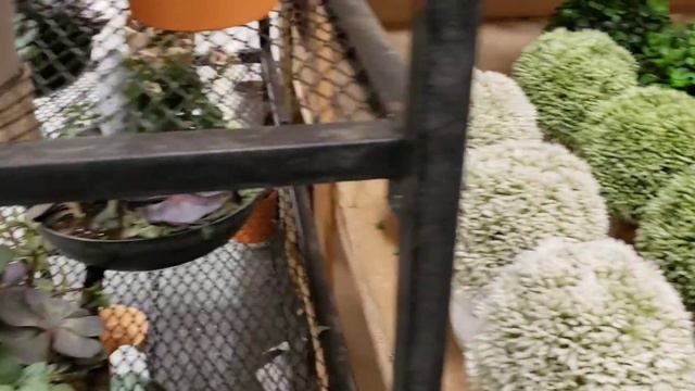 HOME DEPOT HAUL смотреть онлайн