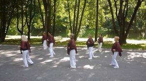 "О-Ля-Ля"- Dancing line(Style -Danger Twins), г.Витебск (Беларусь)