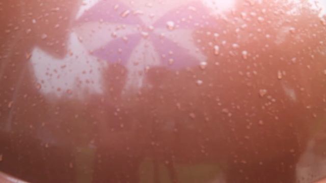 Grill Dome Kamados - 7 Cooks to Become a PRO - Grilled Salmon смотреть онлайн