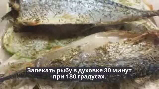 Скумбрия запеченная с луком и кабачками[СКУМБРИЯ В ДУХОВКЕ]. смотреть онлайн
