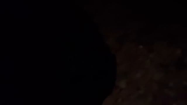 ВЛОГ ? Встретили Новый год ❄ Пришел Дед мороз ? Пилинги дома ? Покупки Green, Wildberries ? смотреть онлайн