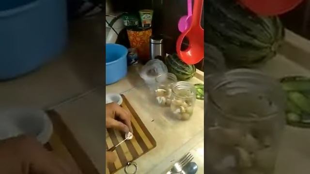 Заготовка гриба весёлка смотреть онлайн