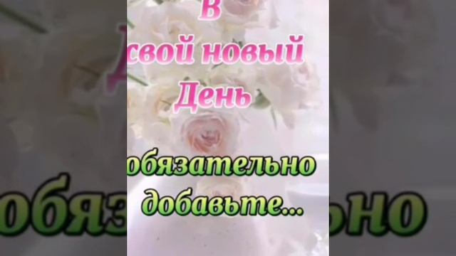 Video.Guru_20240206_122545340.mp4