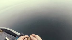 ЛОВЛЯ на блесну В ОТВЕС с лодки окуня зимой на Нарочи