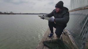 Первая зимняя рыбалка lifefishing23 / щука и прикормочный кораблик / знакомство с каналом