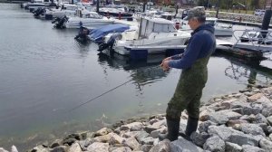 Ловля окуня на вэки