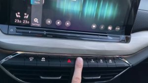Мини обзор. Skoda Octavia A8. Pro. 2022.