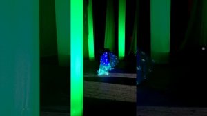 Куджаева Эльмира танец со светодиодными крыльями под песню Сергея Петросяна