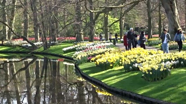Самое красивое место на планете/Миллионы цветов в парке Кёкенхоф смотреть онлайн