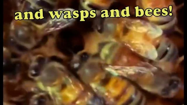 Scary Scary World - By Gibson смотреть онлайн