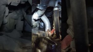 где находится масляный фильтр NISSAN PRIMERA P12 2005 г.в.