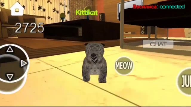 СИМУЛЯТОР КОТА,КОШКИ 3D (ОБЗОР ИГРЫ!,ХЕРОБРИН ИЛИ СТИВ?)