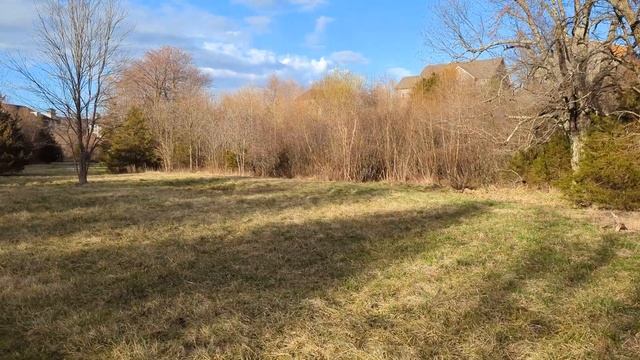 Google Pixel Buds Comparison (Pro / A-Series / Wired) смотреть онлайн