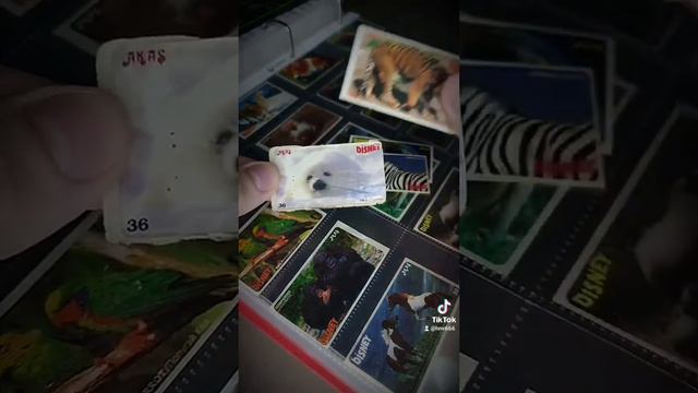 Наклейки от жвачек по тематике животных смотреть онлайн