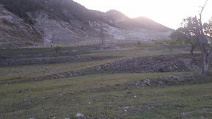 спада овец в дагестане