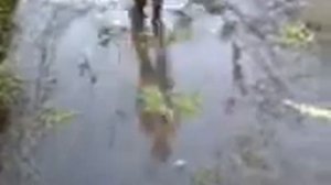 Купание в грязи