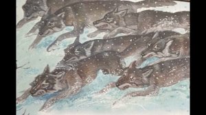 Белый ожерелок