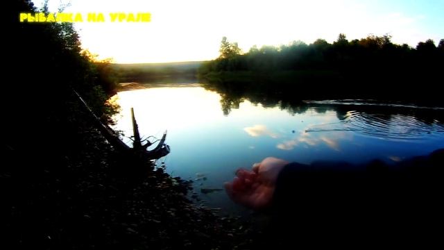 ЛОВЛЯ ХАРИУСА НА КОРАБЛИК на реке Лозьва. Рыбалка на Урале/Grayling on a boat with a fly.