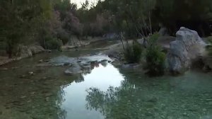 Андромеда Мзия Соломония. Аве Мария. Посвящается моей Святой Матери.Светлая память.