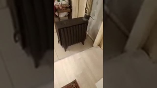 Печь огонь батарея - 9 смотреть онлайн