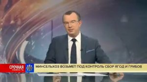Закон о сборе грибов и ягод (2К18)