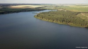 Остров на Печенежском водохранилище