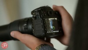 Фотошкола рекомендует: Обзор объектива Nikon AF-S DX NIKKOR 55-300mm f/4.5-5.6G ED VR