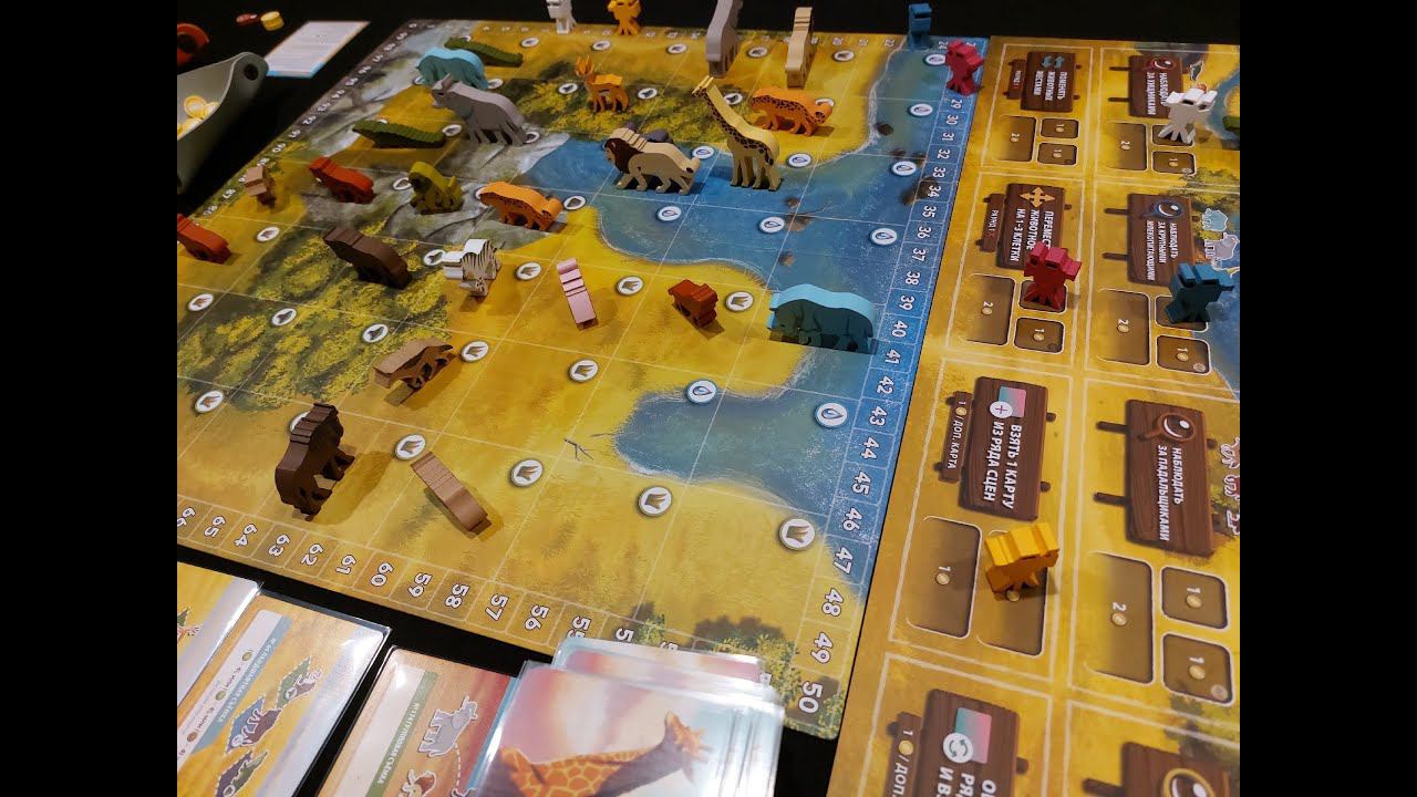 Распаковка настольной игры Дикая природа Серенгети / Unboxing boardgame Wild: Serengeti