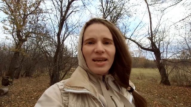 Мини-экскурсия по нашему участку смотреть онлайн