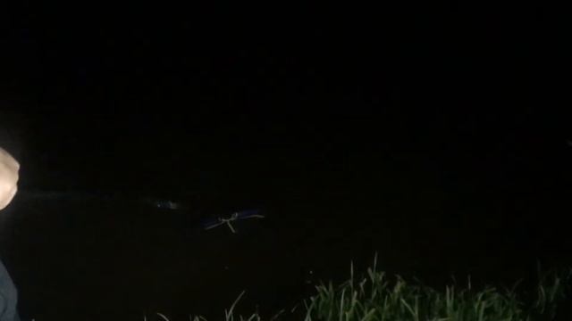 09.06.17 поимка второго сома смотреть онлайн