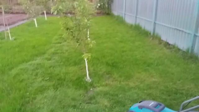 ПОКОС МОЛОДОГО ГАЗОНА смотреть онлайн