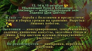 Лунный посевной календарь на ОКТЯБРЬ 2022. Уход и посев растений в саду и огороде. Агрогороскоп