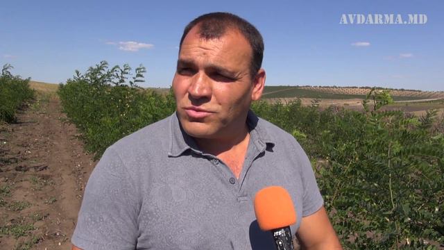 Сельхозпроизводитель села Авдарма высадил 2 гектара леса