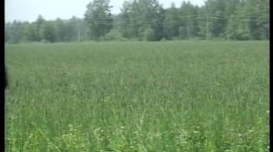 Самоходная косилка MAC DON