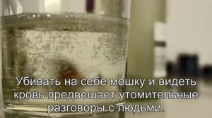 К чему снится Мошка? Толкование сна по сонникам Ванги и Фрейда