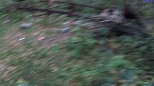 заброшенный пионерский лагерь Восток-2. Заброшенные артакционы.