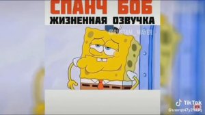 Джавид спанч Боб