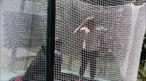 СЕТКА ЗАГРАДИТЕЛЬНАЯ на заказ