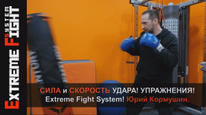 СИЛА и СКОРОСТЬ УДАРА! Упражнения! Extreme Fight System! Юрий Кормушин