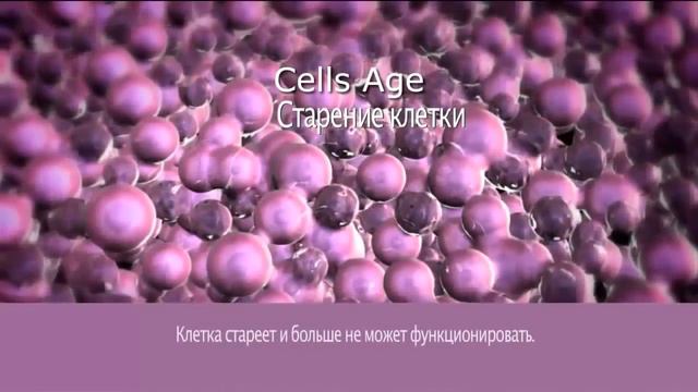Почему мы стареем и умираем. Инновации от #Jeunesse