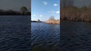 Yamaha 3 и лодка тонар Капитан 260