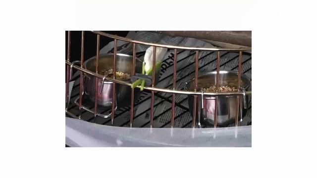 Стоит ли покупать одинарную миску для грызунов и птиц Triol сталь серебристый 0.15 л отзывы супер смотреть онлайн