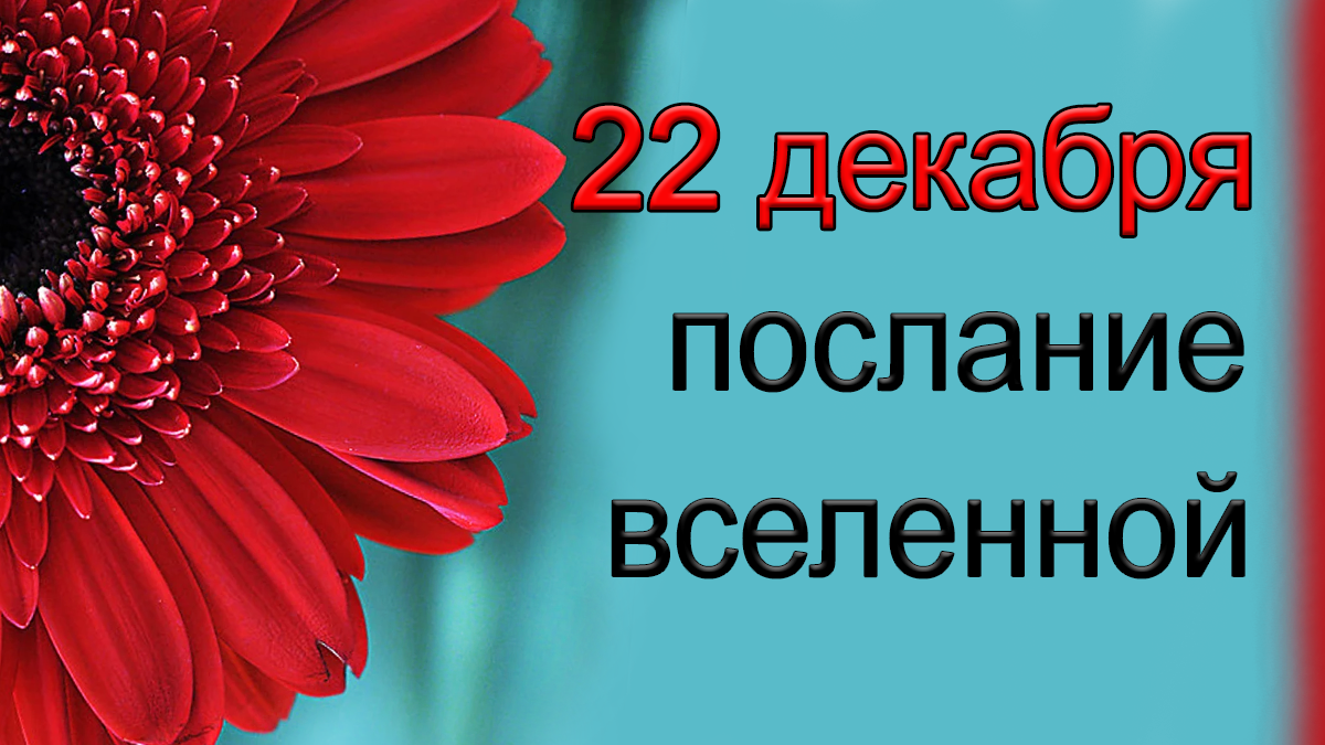 ПОСЛАНИЕ ВСЕЛЕННОЙ на 22 декабря.*Эзотерика Для Тебя*