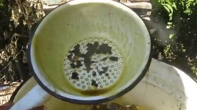 Перетопка воска от а до я .