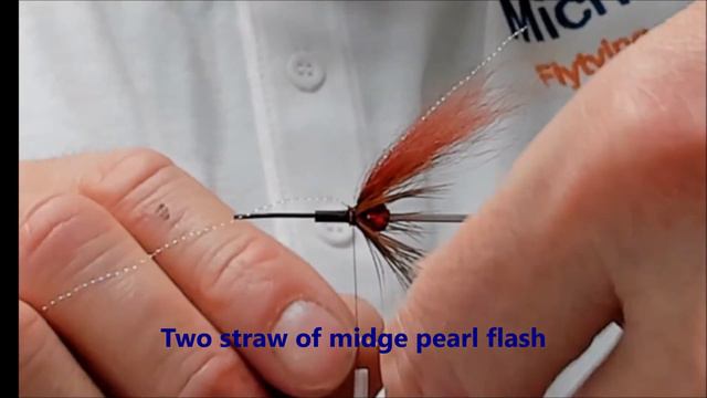 Zealot Salmon Fly - Fly Fishing - Fly tying - Michael Olsen Fly tying and Fishing