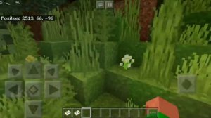 Paradise Zoo | Minecraft: PE