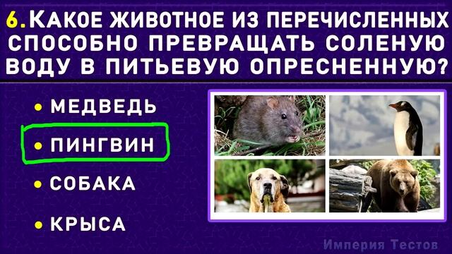 НАСКОЛЬКО СТАР ВАШ МОЗГ? Удивительный тест на эрудицию и общие знания